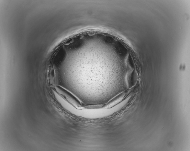 X0000090761496200708101735