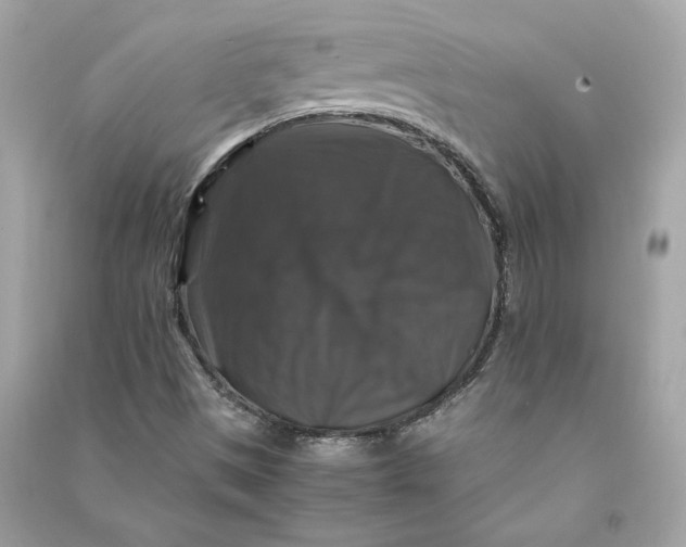 X0000090761497200708101735