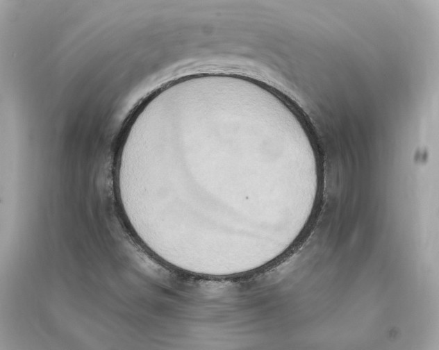 X0000090761498200708101735