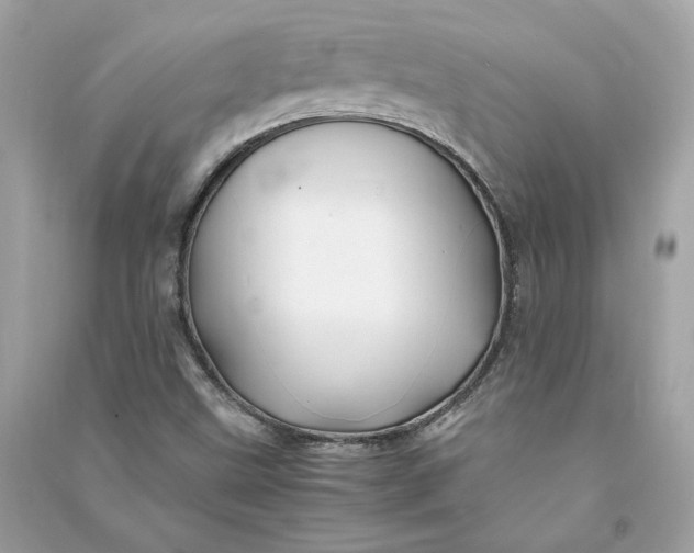 X0000090761499200708101735