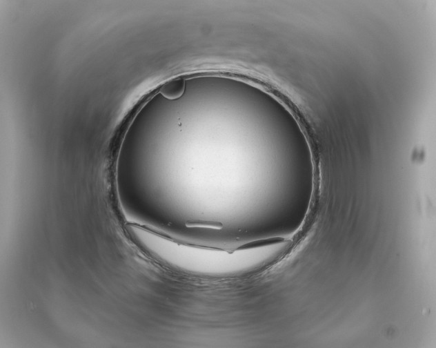 X0000090761501200708101735