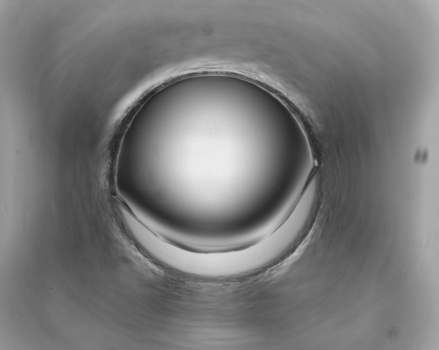 X0000090761502200708101735