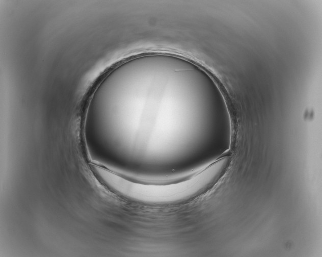 X0000090761503200708101735