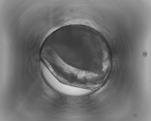 X0000090761505200708101735