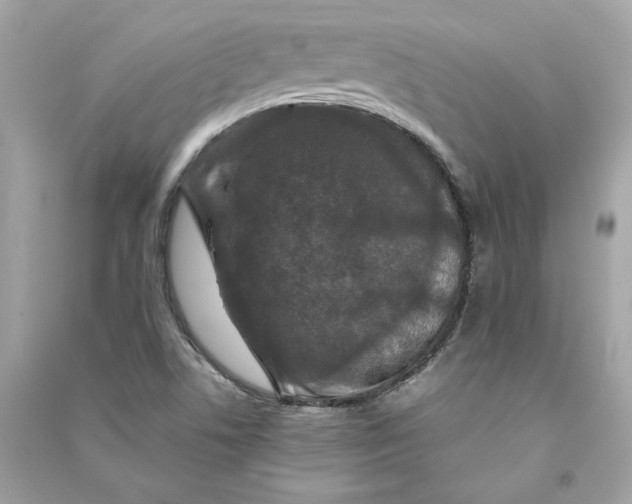 X0000090761506200708101735