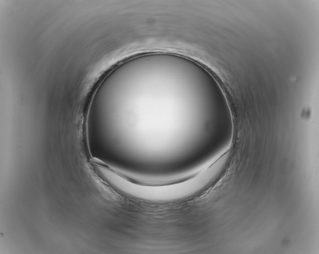 X0000090761507200708101735