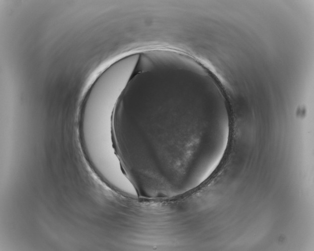 X0000090761508200708101735