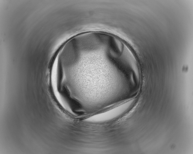 X0000090761509200708101735