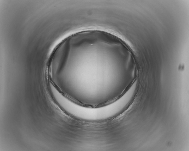 X0000090761510200708101735