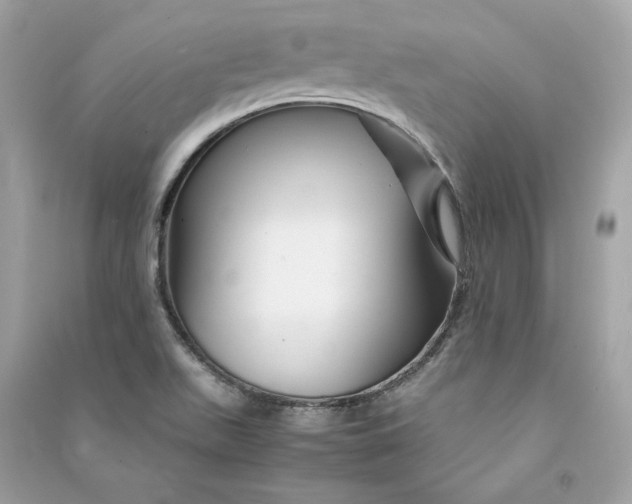 X0000090761511200708101735