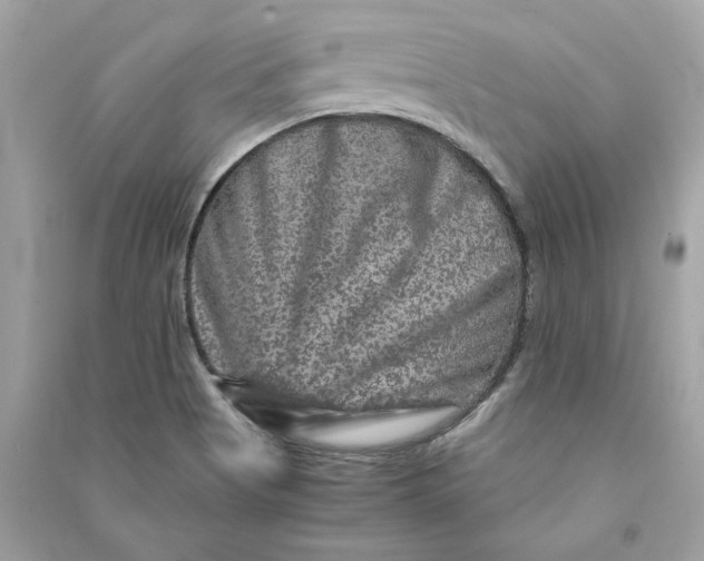 X0000090761513200708101735