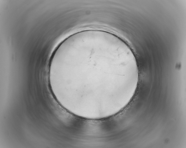 X0000090761514200708101735