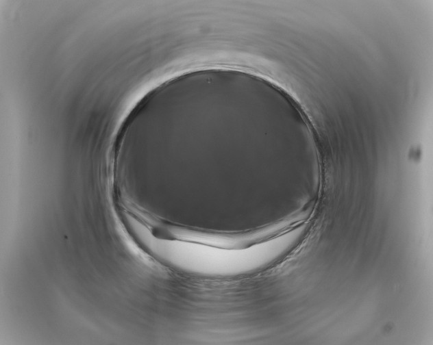 X0000090761515200708101735