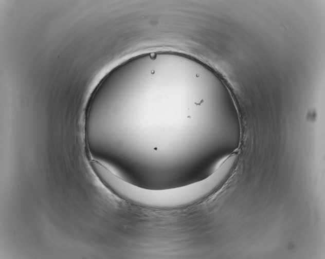 X0000090761516200708101735