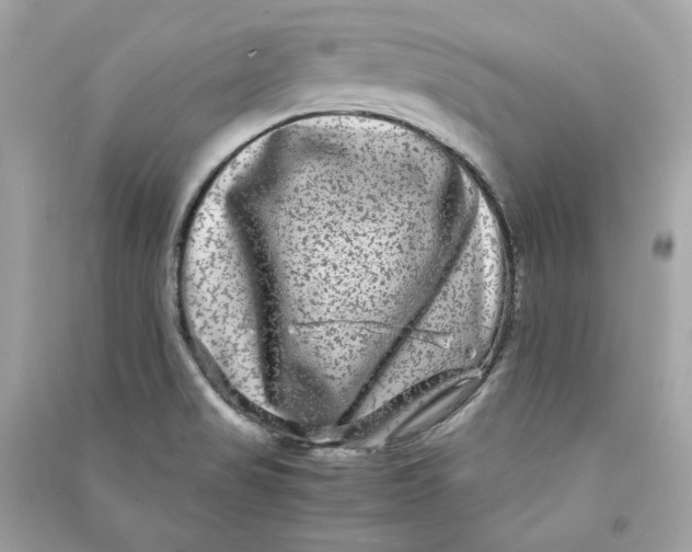 X0000090761517200708101735