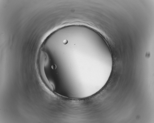 X0000090761518200708101736