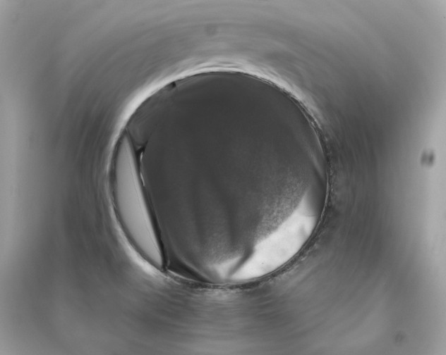 X0000090761519200708101736