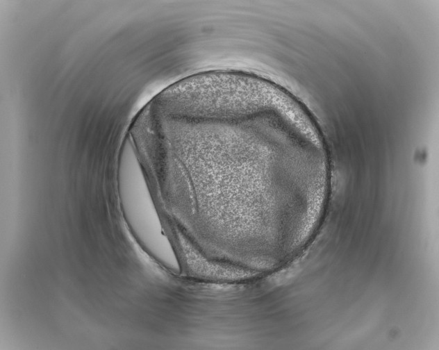 X0000090761521200708101736