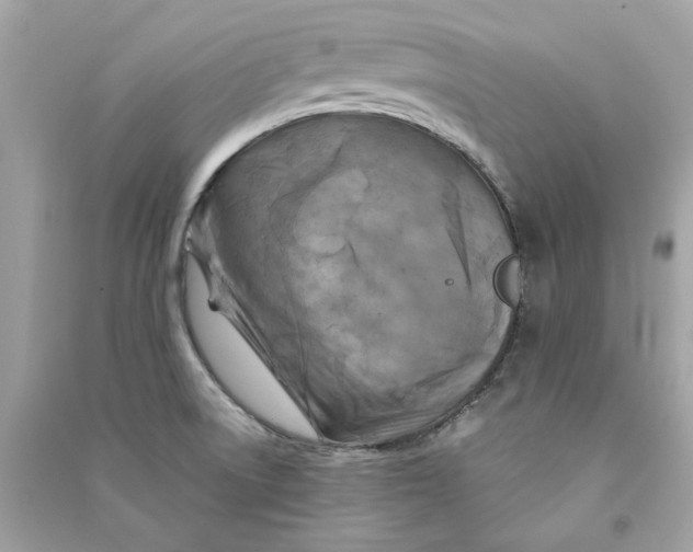 X0000090761522200708101736