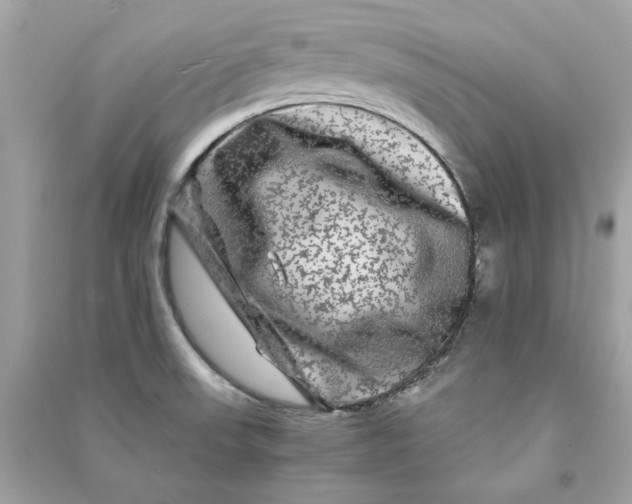 X0000090761523200708101736