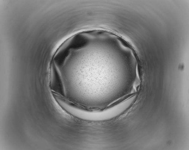 X0000090761524200708101736