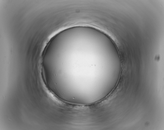 X0000090761526200708101736