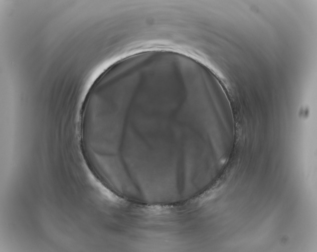 X0000090761527200708101736