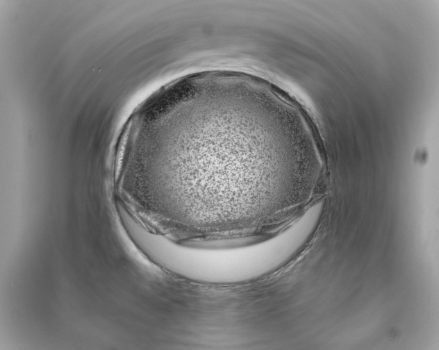 X0000090761528200708101736