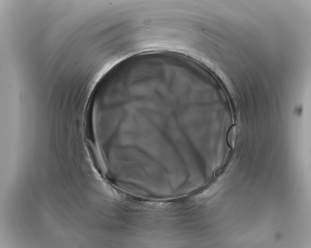 X0000090761529200708101736