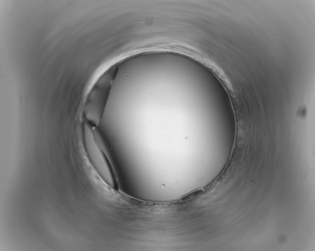 X0000090761530200708101736