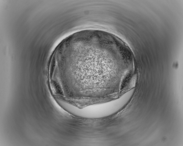 X0000090761531200708101736