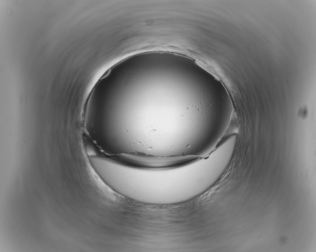 X0000090761532200708101736