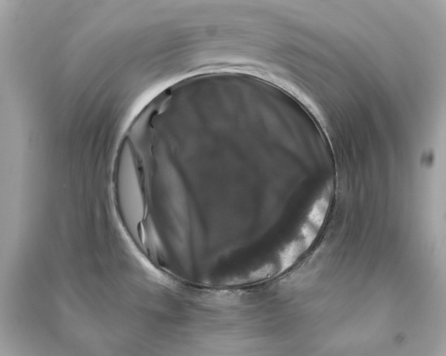 X0000090761533200708101736