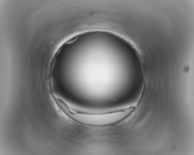 X0000090761534200708101736