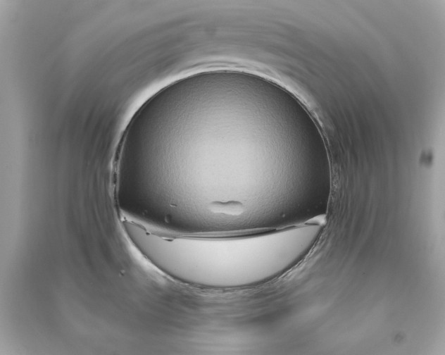 X0000090761535200708101736