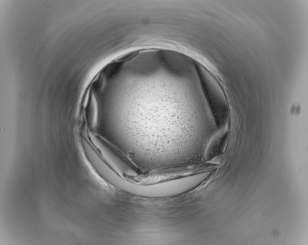 X0000090761536200708101736