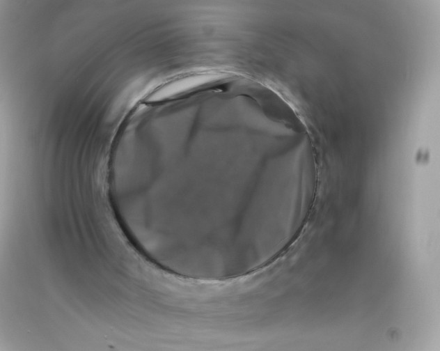 X0000090760002200708172057