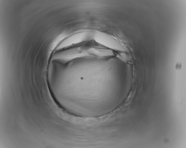 X0000090760003200708172057