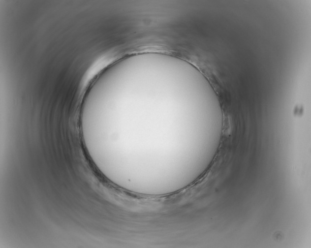 X0000090760004200708172057