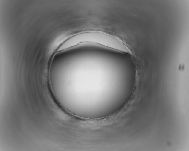 X0000090760005200708172057