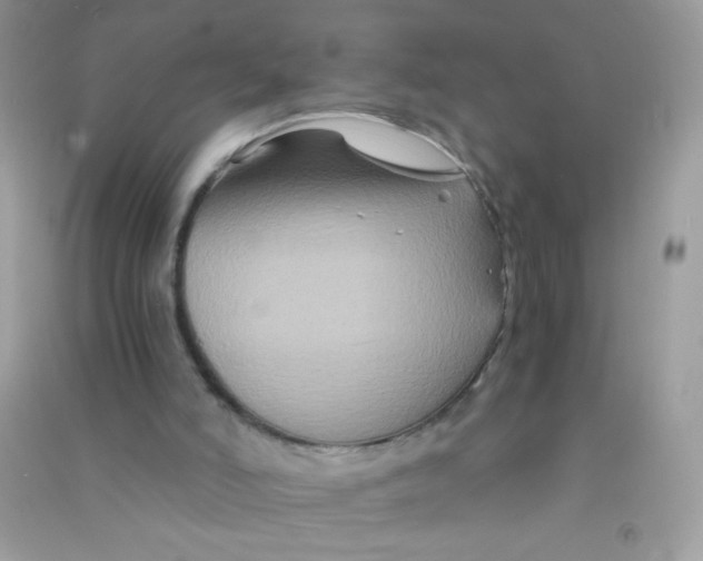 X0000090760006200708172057