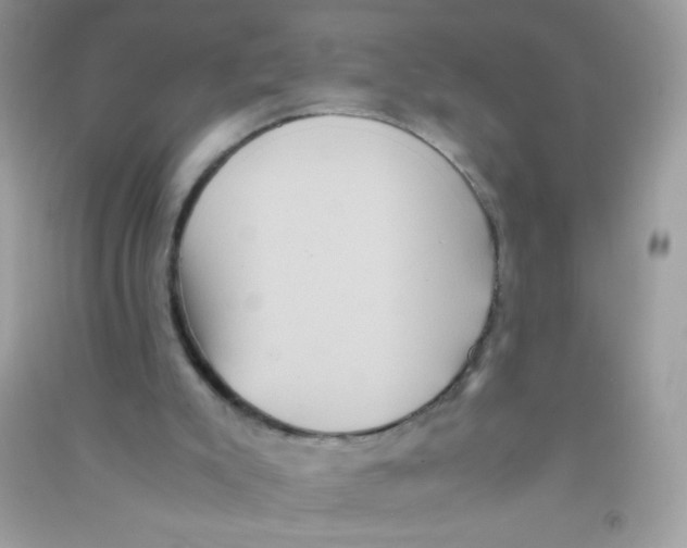 X0000090760007200708172057