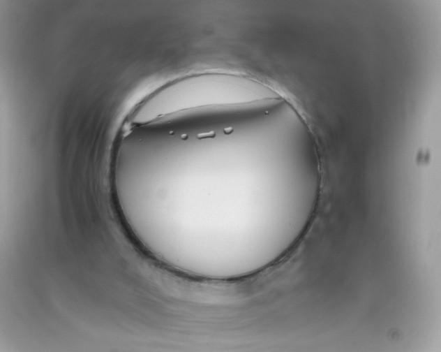 X0000090760008200708172057