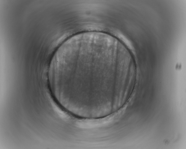 X0000090760009200708172057