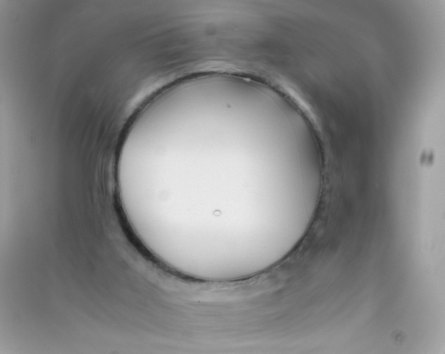 X0000090760011200708172057