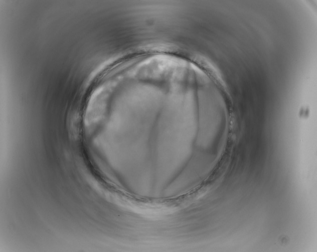 X0000090760012200708172057