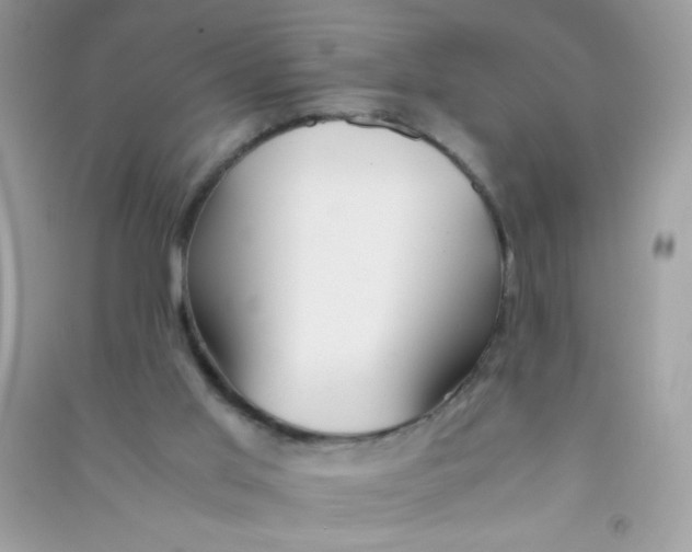 X0000090760013200708172057