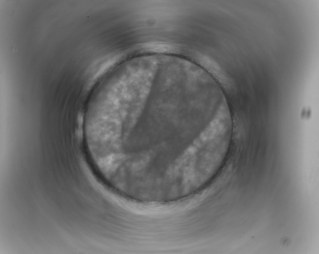 X0000090760014200708172057