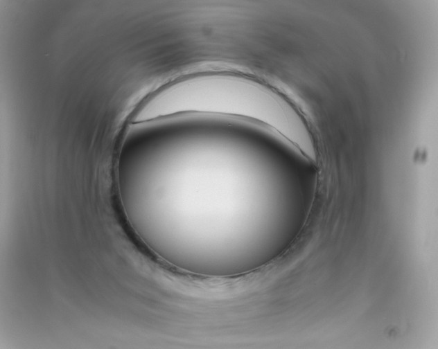 X0000090760015200708172057