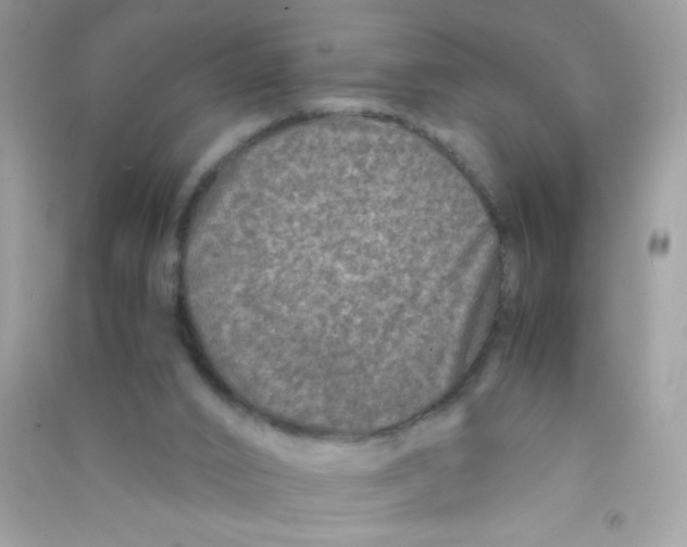 X0000090760016200708172057